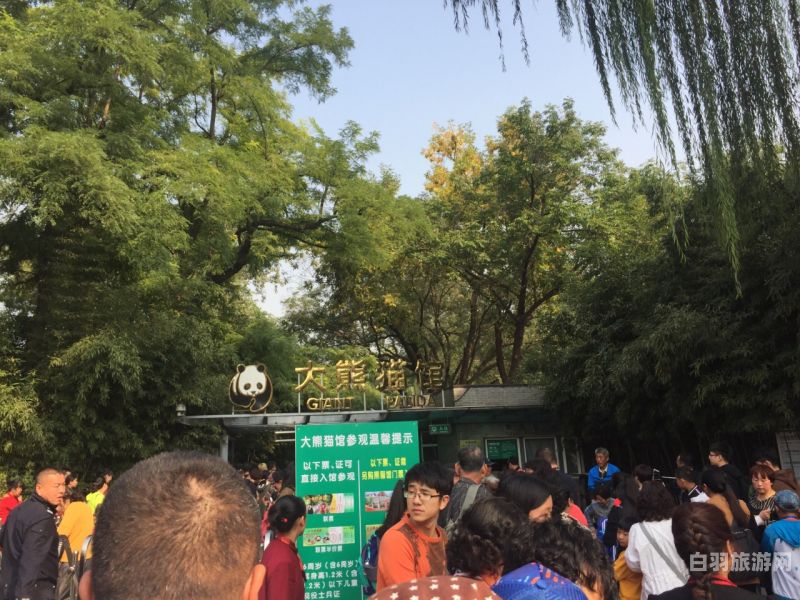 北京动物园和杭州动物园哪个好（北京动物园和杭州动物园哪个好玩一点）