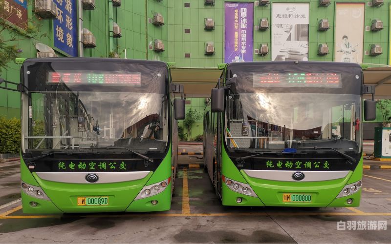 重庆259公交车收班时间（重庆市295路公交车路线）