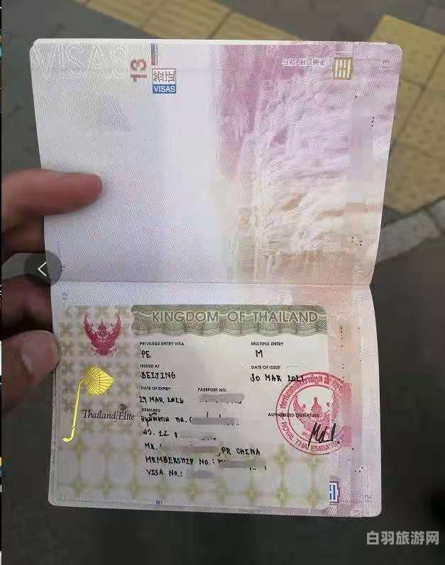 护照签证业（护照签证条件）