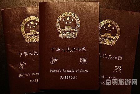 外交护照的签证（外交护照的签证怎么办理）